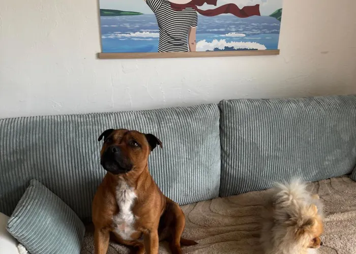 Hébergement de vacances Maison à Côté Du De Palais Sur