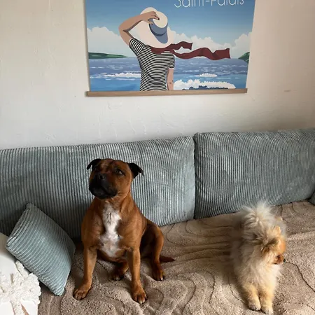 Holiday home Maison A Cote Du Lac De Saint Palais Sur Mer